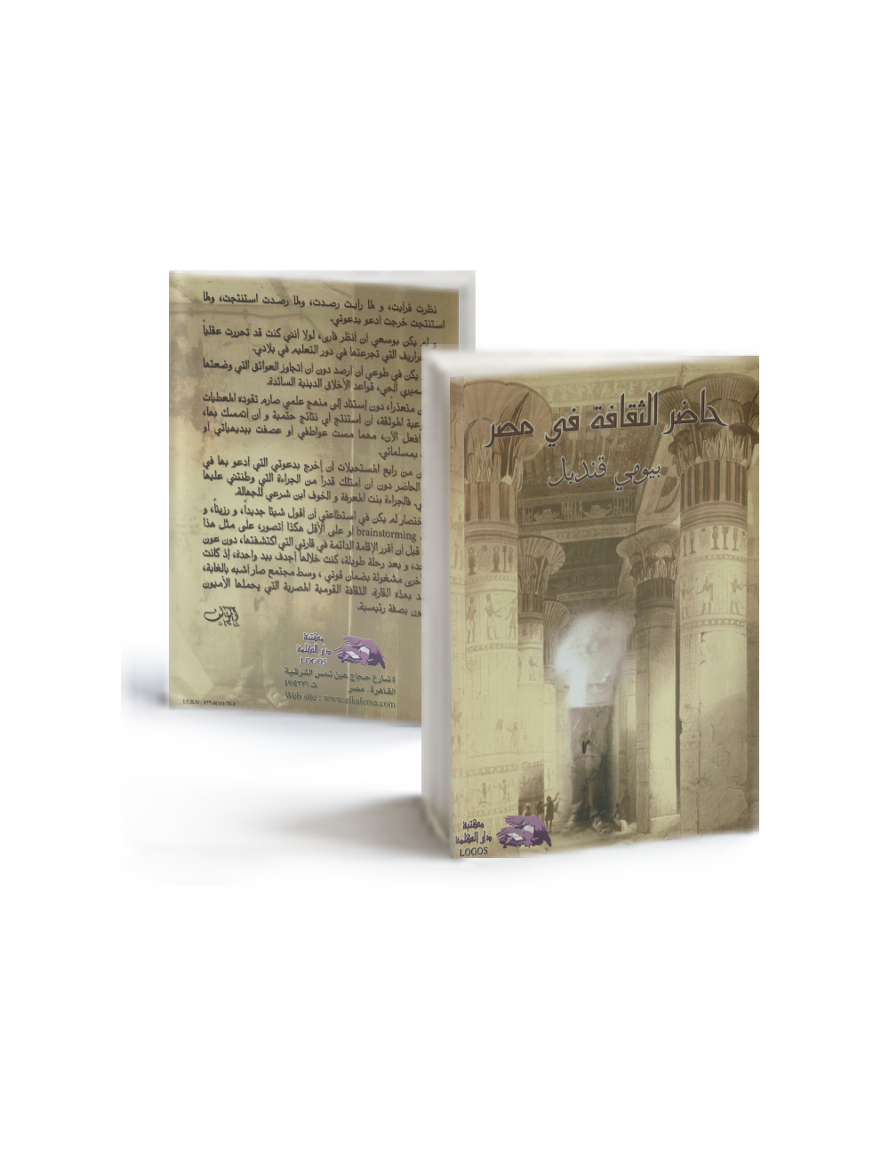 حاضر الثقافة في مصر حاضر الثقافة في مصر