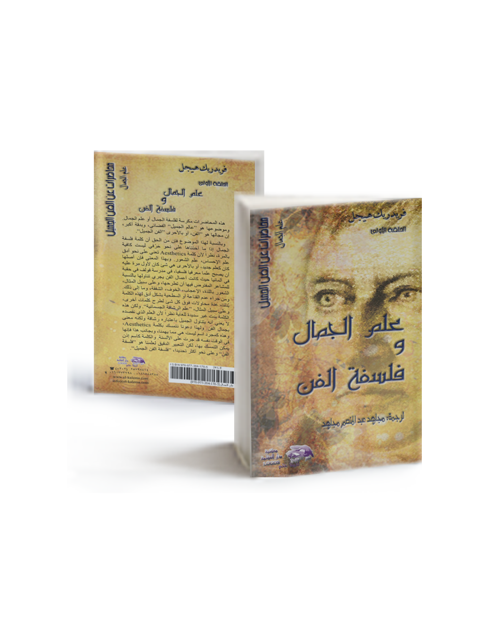 Aesttherics Lectures On Fine Art: Aesthetics and philosophy of art